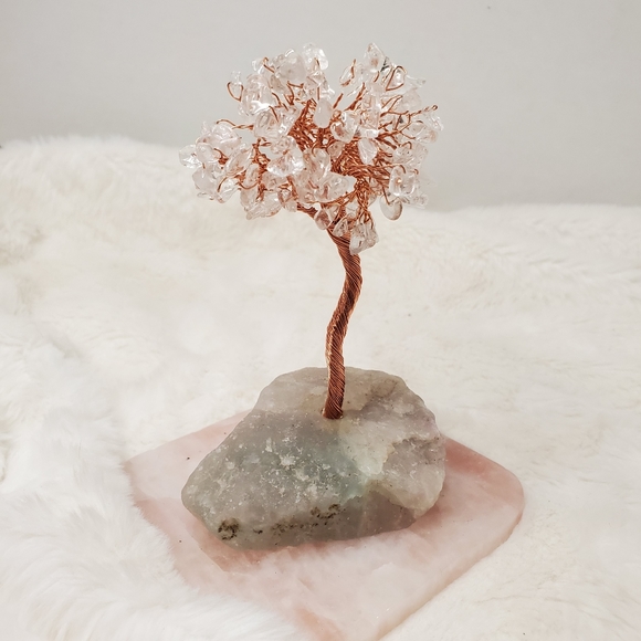 Other - Clear Quartz Crystal Tree with Fluorite Base